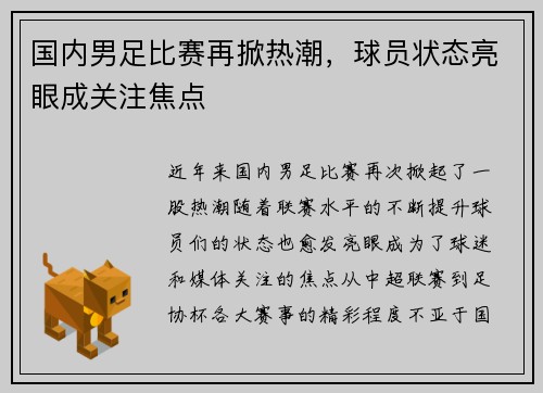 国内男足比赛再掀热潮，球员状态亮眼成关注焦点