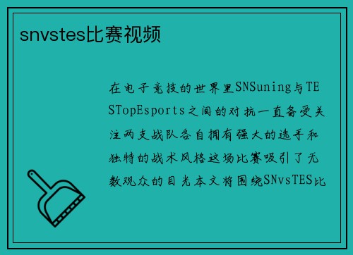 snvstes比赛视频