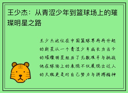 王少杰：从青涩少年到篮球场上的璀璨明星之路