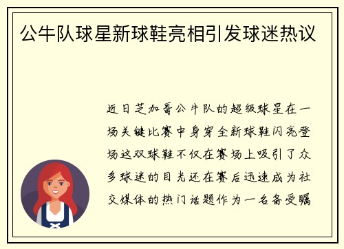 公牛队球星新球鞋亮相引发球迷热议