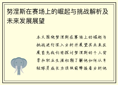 努涅斯在赛场上的崛起与挑战解析及未来发展展望